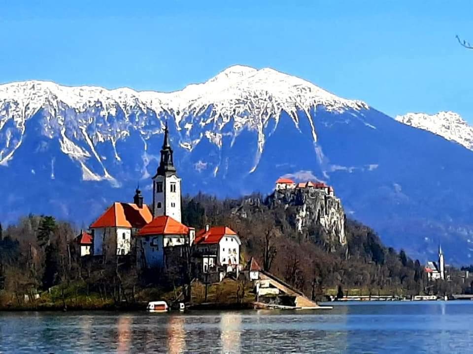 Apartments Violeta Блед Екстер'єр фото