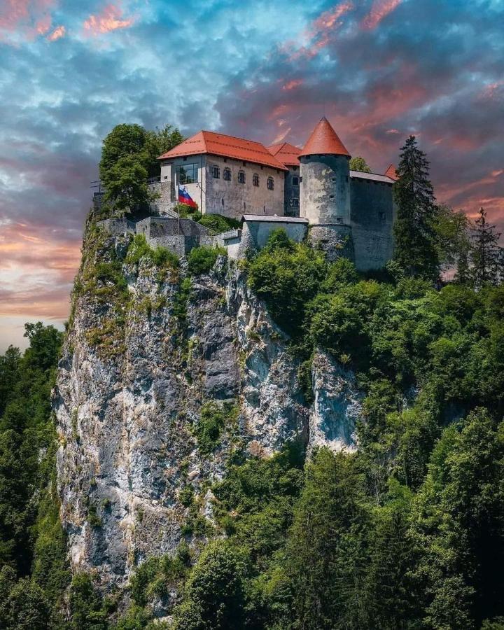 Apartments Violeta Блед Екстер'єр фото
